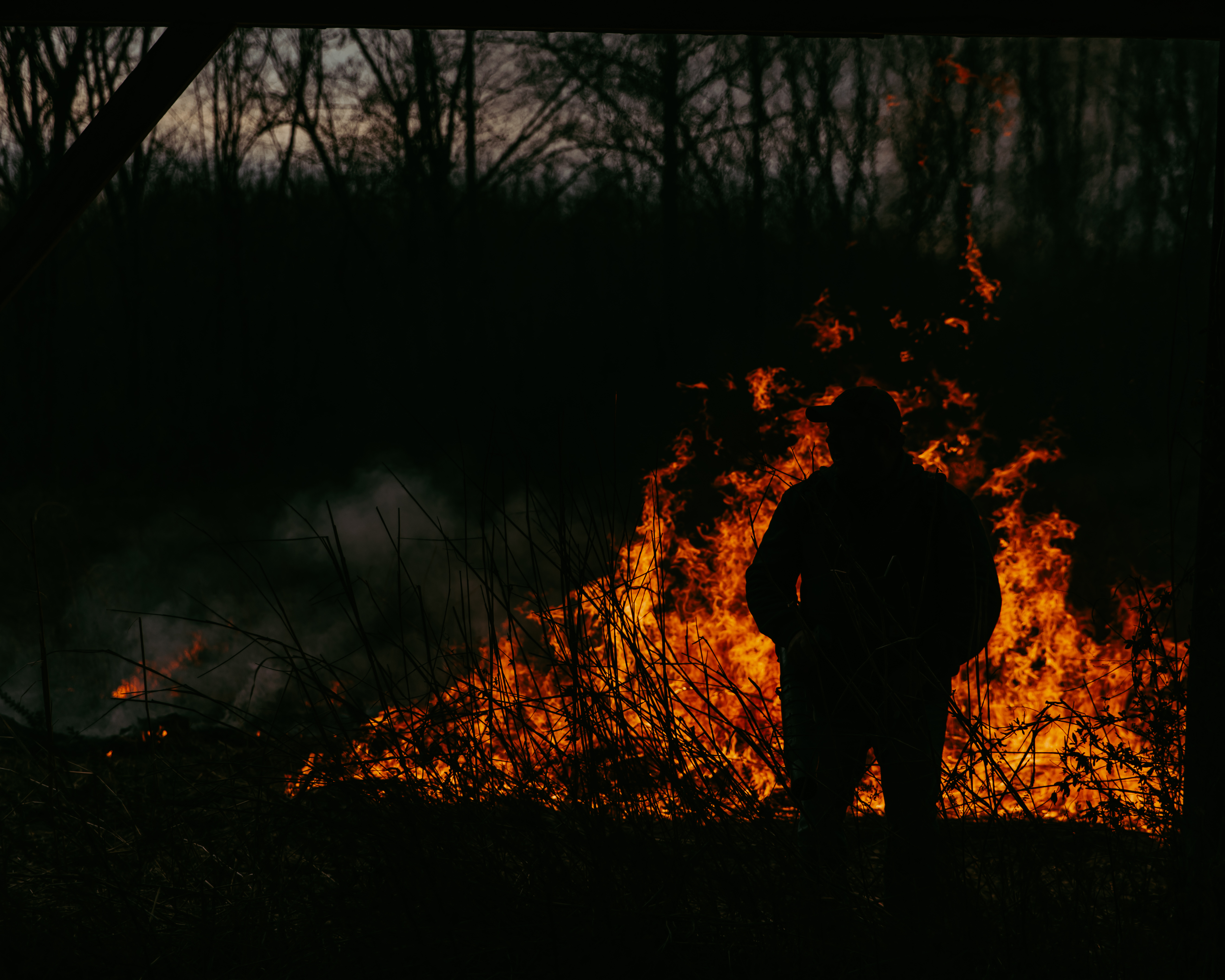 Documentary capture